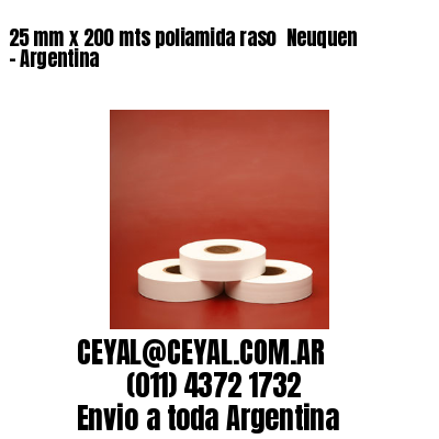 25 mm x 200 mts poliamida raso  Neuquen – Argentina