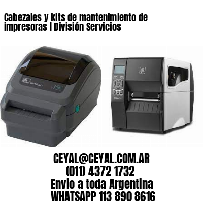 Cabezales y kits de mantenimiento de impresoras | División Servicios