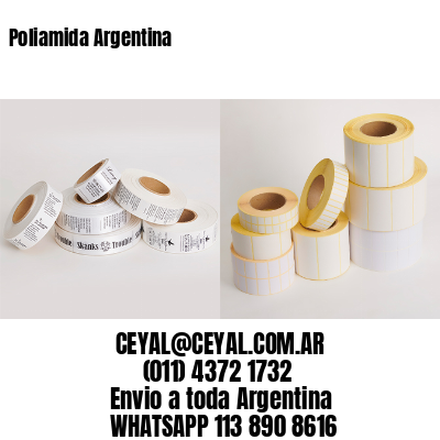 Poliamida Argentina