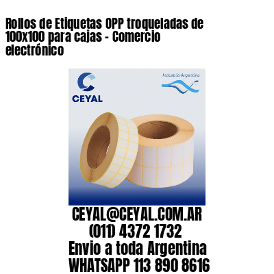 Rollos de Etiquetas OPP troqueladas de 100×100 para cajas – Comercio electrónico