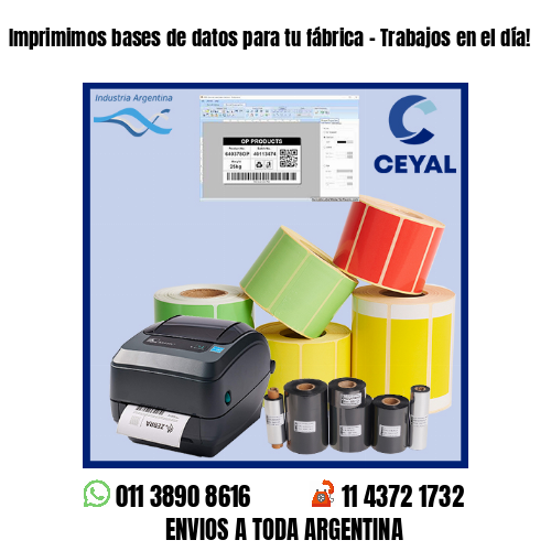 Imprimimos bases de datos para tu fábrica – Trabajos en el día!