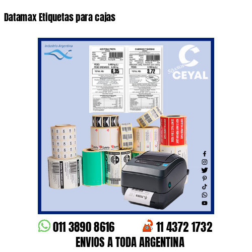 Datamax Etiquetas para cajas