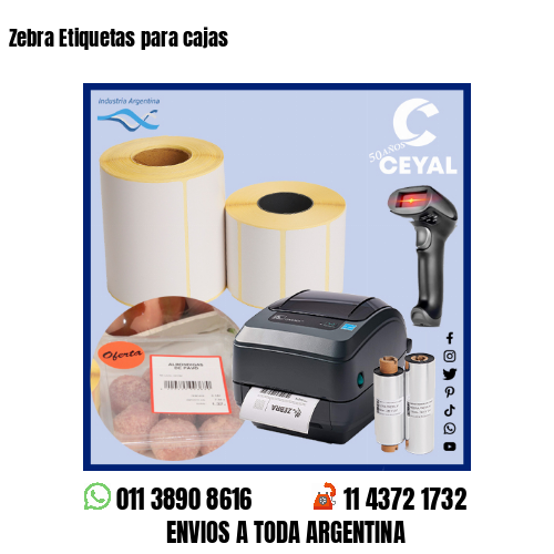 Zebra Etiquetas para cajas
