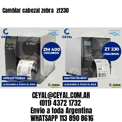Cambiar cabezal zebra zt230