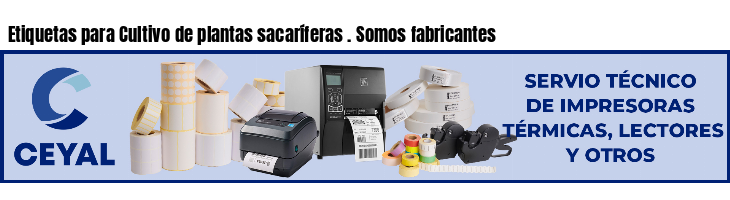 Etiquetas para Cultivo de plantas sacaríferas . Somos fabricantes