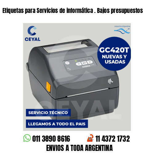 Etiquetas para Servicios de informática . Bajos presupuestos