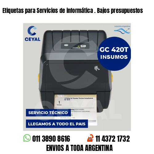 Etiquetas para Servicios de informática . Bajos presupuestos