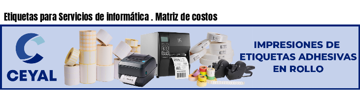 Etiquetas para Servicios de informática . Matriz de costos