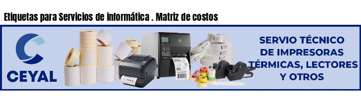 Etiquetas para Servicios de informática . Matriz de costos