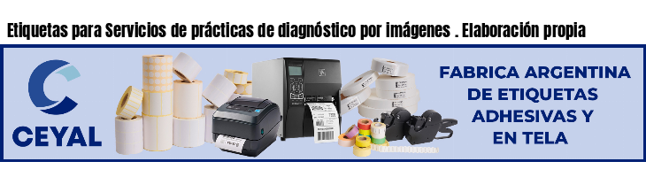 Etiquetas para Servicios de prácticas de diagnóstico por imágenes . Elaboración propia