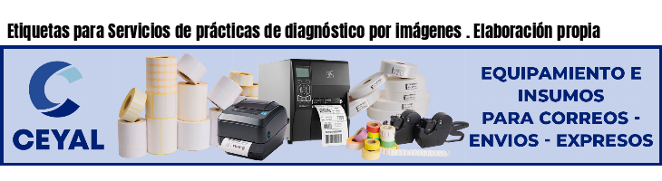Etiquetas para Servicios de prácticas de diagnóstico por imágenes . Elaboración propia