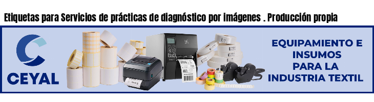 Etiquetas para Servicios de prácticas de diagnóstico por imágenes . Producción propia