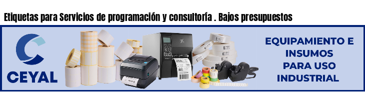 Etiquetas para Servicios de programación y consultoría . Bajos presupuestos