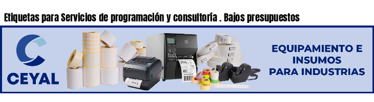 Etiquetas para Servicios de programación y consultoría . Bajos presupuestos