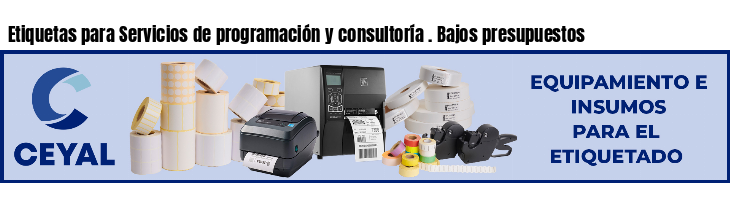 Etiquetas para Servicios de programación y consultoría . Bajos presupuestos