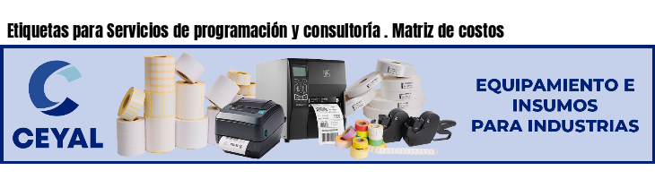 Etiquetas para Servicios de programación y consultoría . Matriz de costos