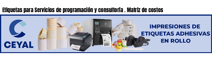 Etiquetas para Servicios de programación y consultoría . Matriz de costos