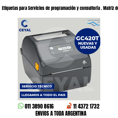 Etiquetas para Servicios de programación y consultoría . Matriz de costos