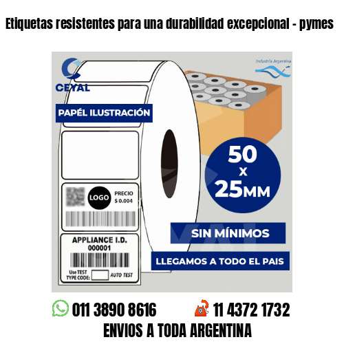 Etiquetas resistentes para una durabilidad excepcional – pymes