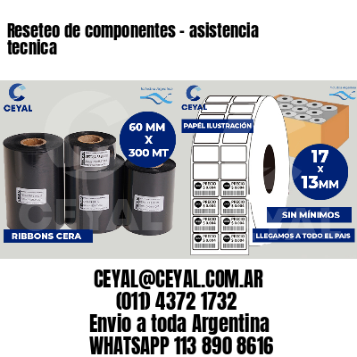 Reseteo de componentes - asistencia tecnica