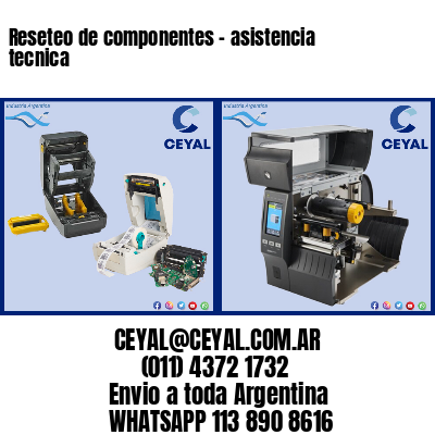 Reseteo de componentes – asistencia tecnica