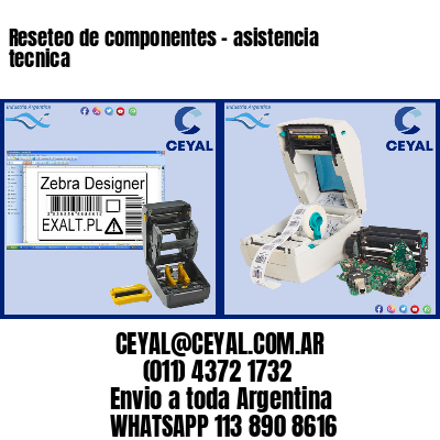 Reseteo de componentes – asistencia tecnica