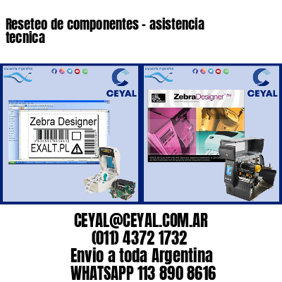 Reseteo de componentes – asistencia tecnica