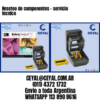 Reseteo de componentes – servicio tecnico