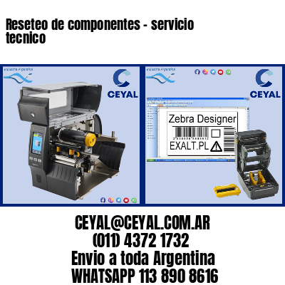 Reseteo de componentes – servicio tecnico