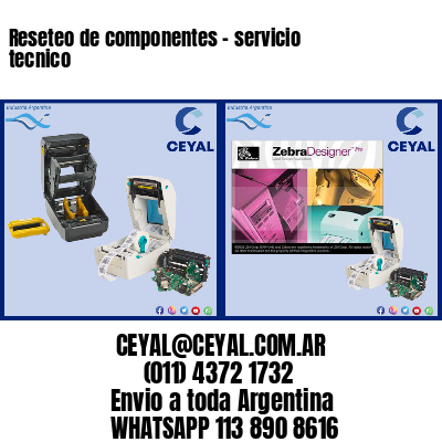 Reseteo de componentes – servicio tecnico