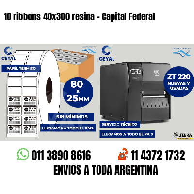 10 ribbons 40x300 resina - Capital Federal