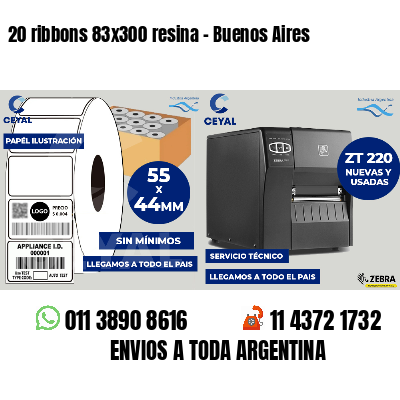 20 ribbons 83x300 resina - Buenos Aires