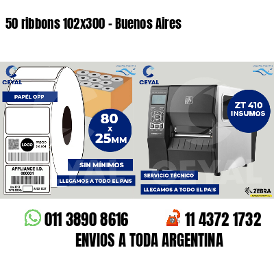 50 ribbons 102x300 - Buenos Aires