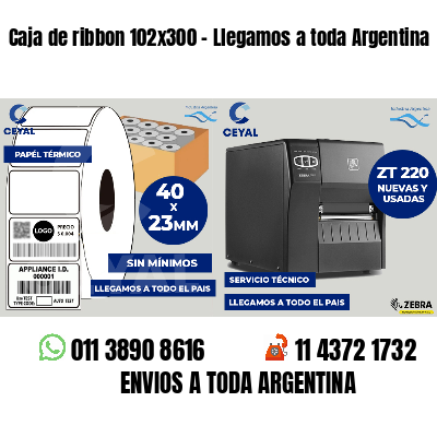 Caja de ribbon 102x300 - Llegamos a toda Argentina