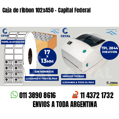 Caja de ribbon 102x450 - Capital Federal