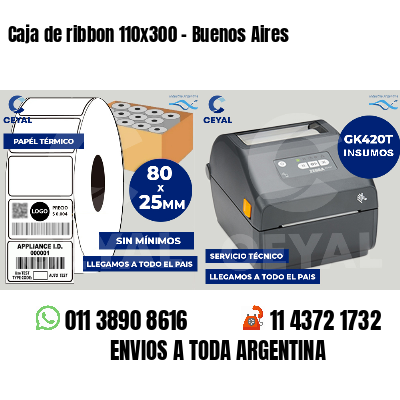 Caja de ribbon 110x300 - Buenos Aires