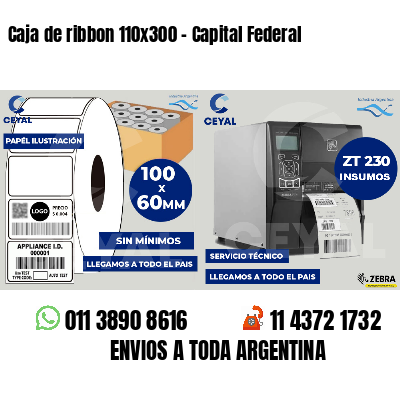 Caja de ribbon 110x300 - Capital Federal