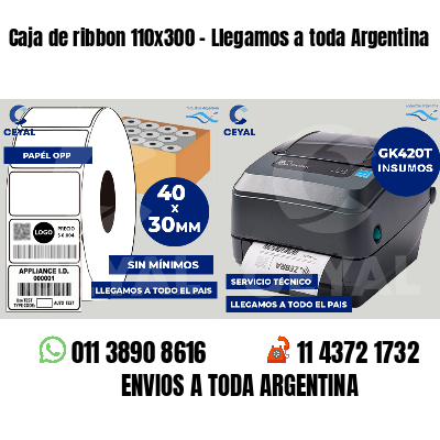 Caja de ribbon 110x300 - Llegamos a toda Argentina