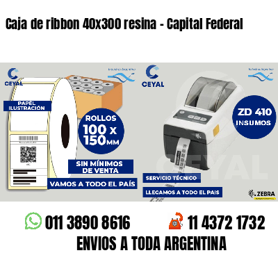 Caja de ribbon 40x300 resina - Capital Federal