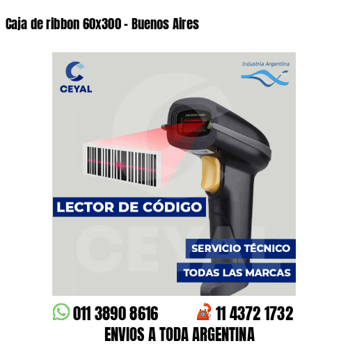 Caja de ribbon 60x300 - Buenos Aires