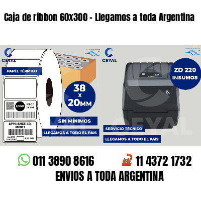 Caja de ribbon 60x300 - Llegamos a toda Argentina