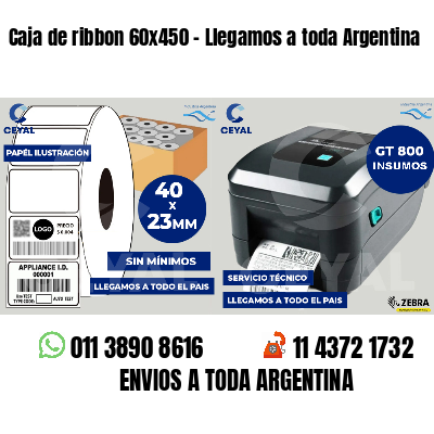 Caja de ribbon 60x450 - Llegamos a toda Argentina