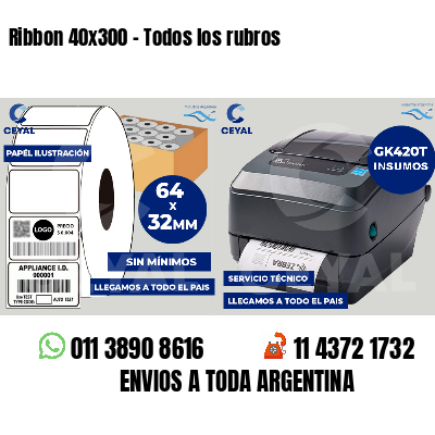 Ribbon 40x300 - Todos los rubros