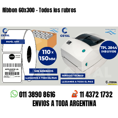 Ribbon 60x300 - Todos los rubros
