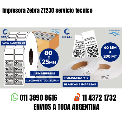 Impresora Zebra ZT230 servicio tecnico