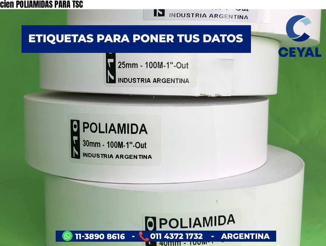 cien POLIAMIDAS PARA TSC