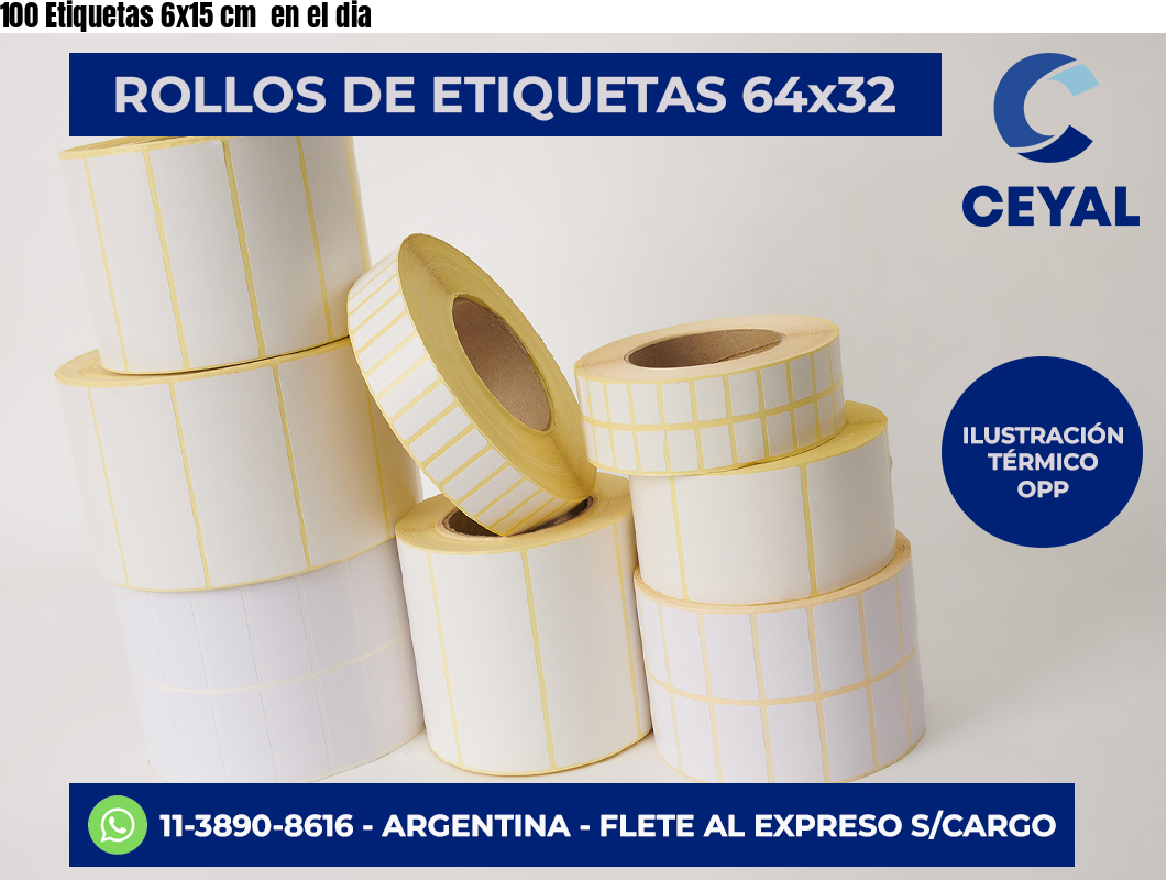 100 Etiquetas 6×15 cm  en el dia