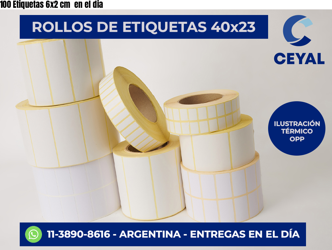 100 Etiquetas 6×2 cm  en el dia