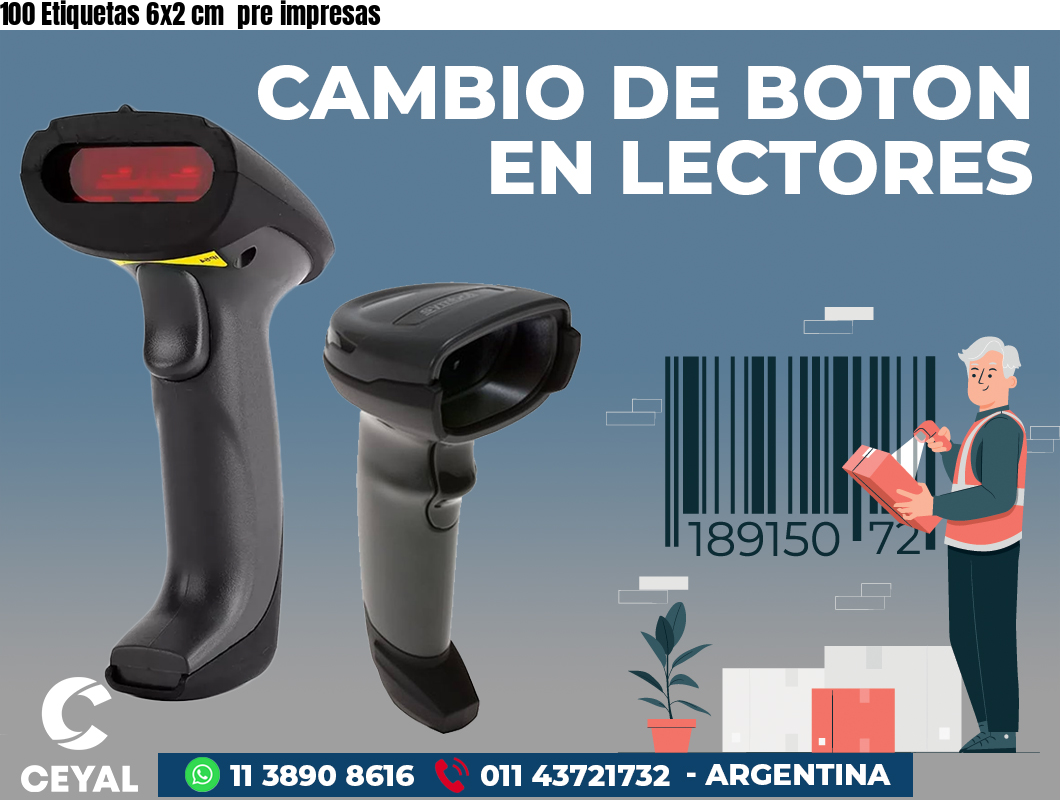 100 Etiquetas 6x2 cm  pre impresas