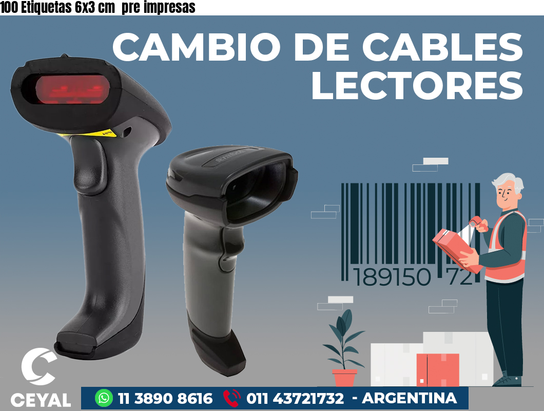 100 Etiquetas 6x3 cm  pre impresas